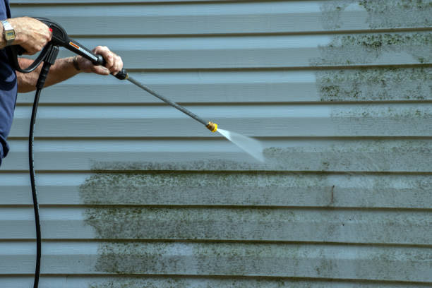 Best Graffiti Removal  in Falconer, NY