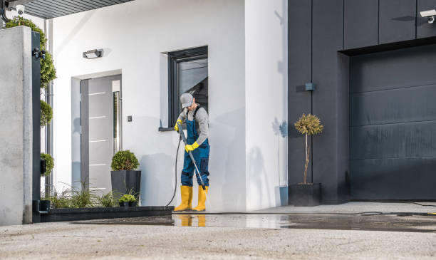 Best Solar Panel Cleaning  in Falconer, NY